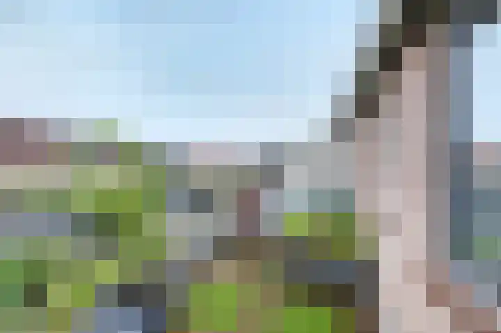 Zandplaat 5 Zeewolde thumbnail 23