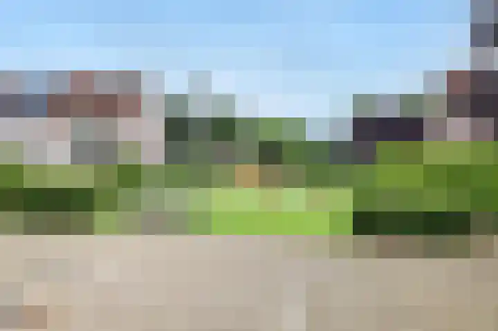 Zandplaat 5 Zeewolde thumbnail 35