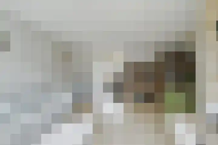 Zandplaat 5 Zeewolde thumbnail 6