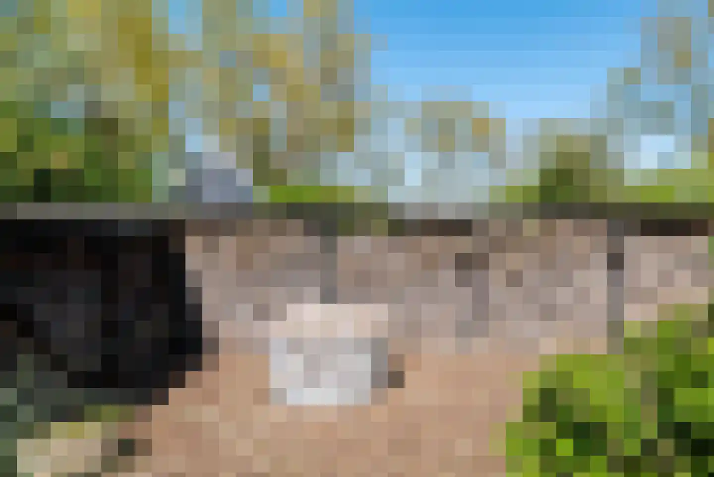 Zandplaatweg 6 Hoek thumbnail 110