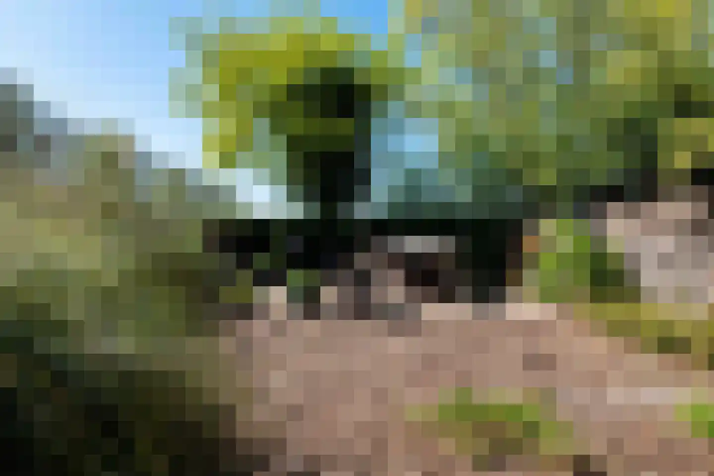 Zandplaatweg 6 Hoek thumbnail 111