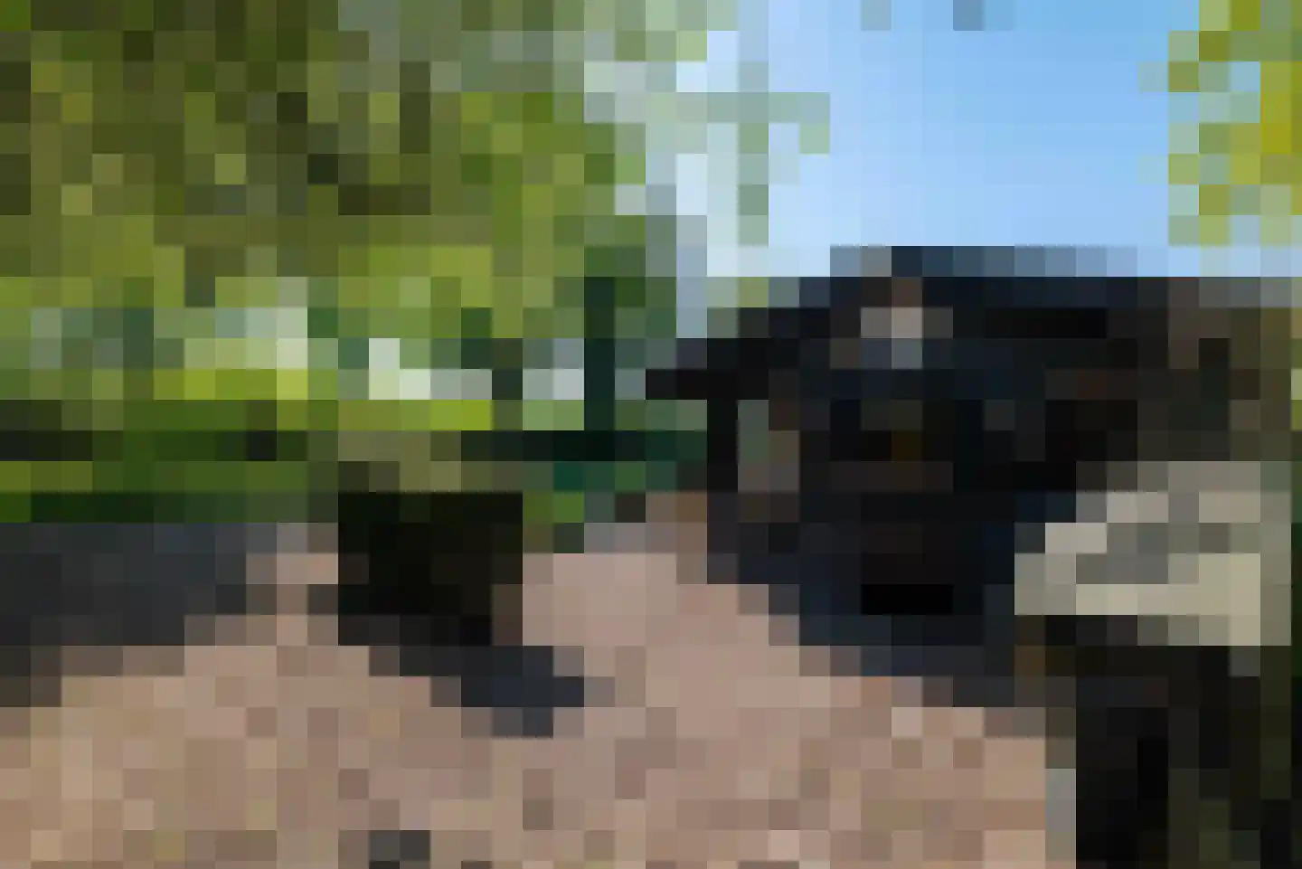Zandplaatweg 6 Hoek thumbnail 112