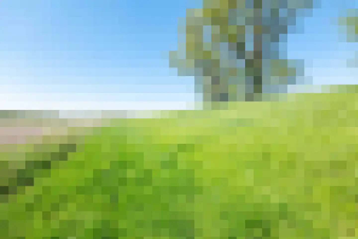 Zandplaatweg 6 Hoek thumbnail 118