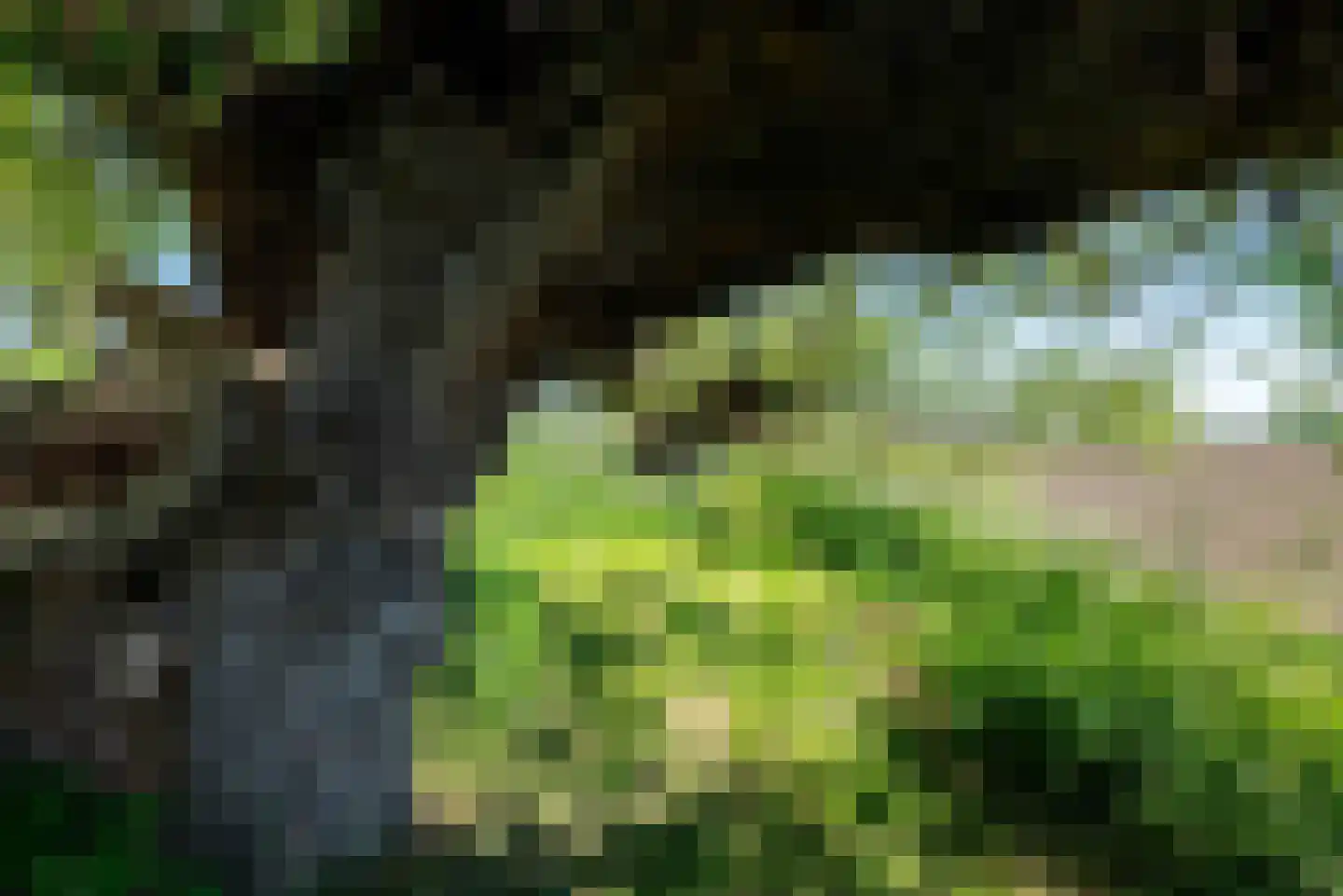 Zandplaatweg 6 Hoek thumbnail 120