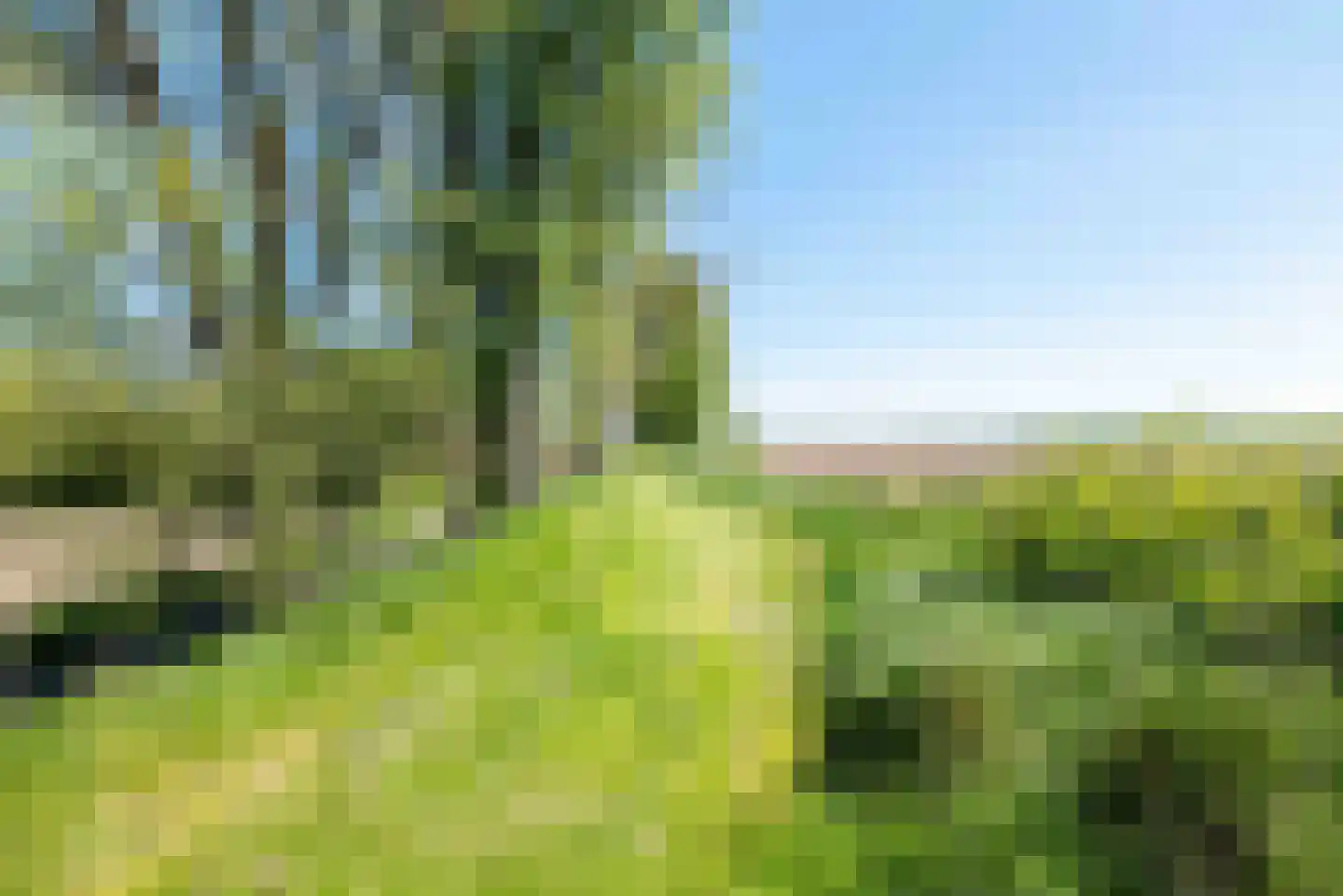 Zandplaatweg 6 Hoek thumbnail 121