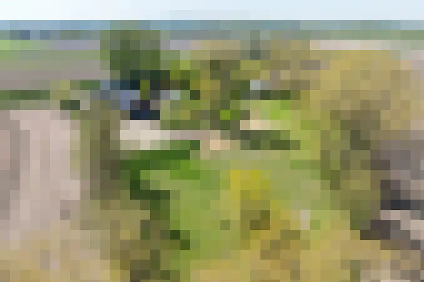 Zandplaatweg 6 Hoek thumbnail 122