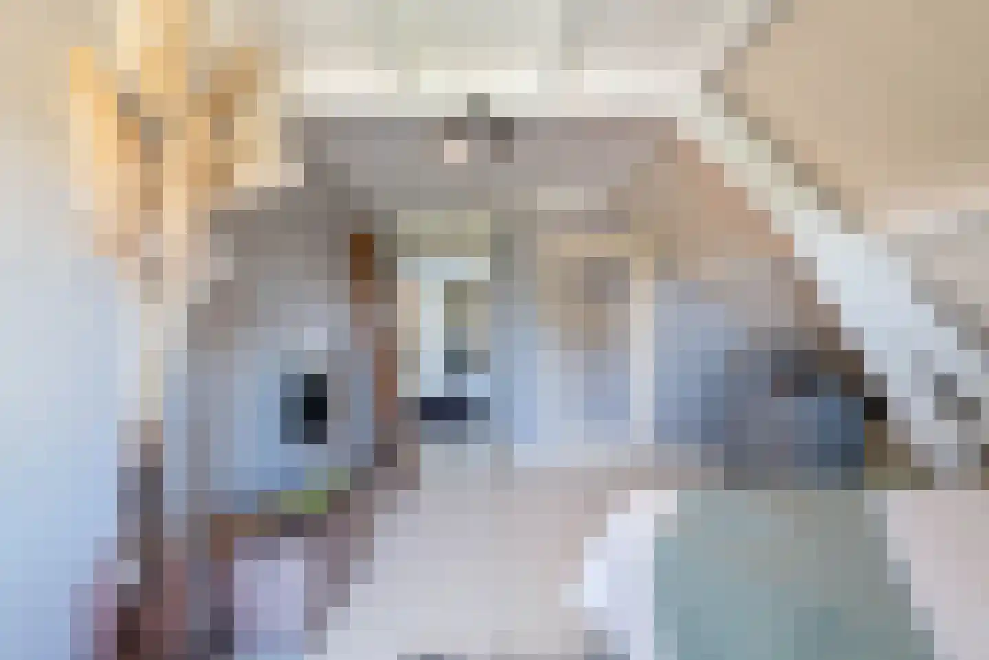 Zandplaatweg 6 Hoek thumbnail 51