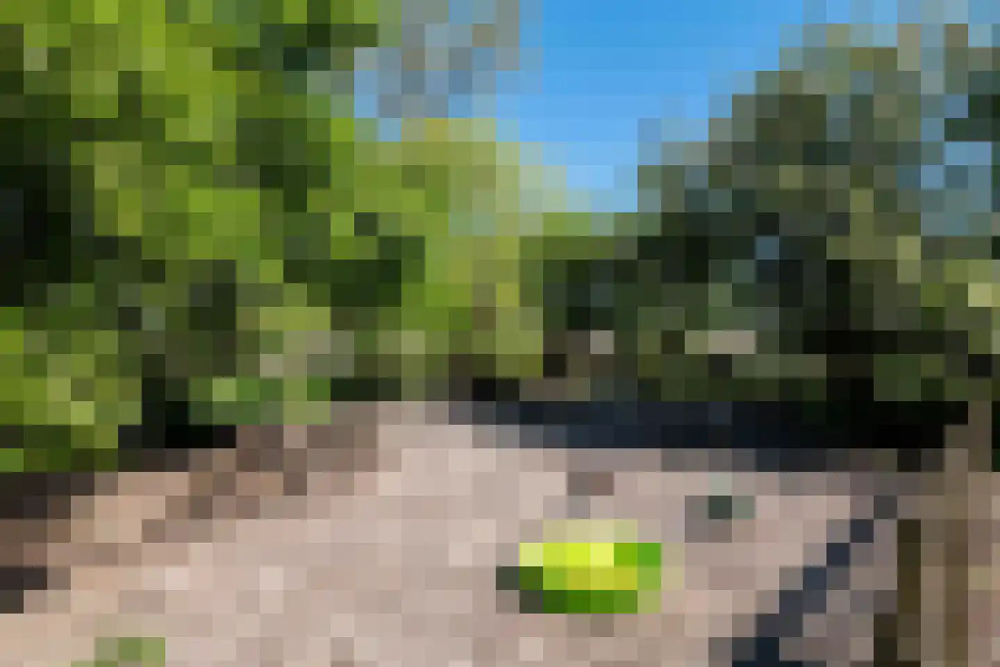 Zandplaatweg 6 Hoek thumbnail 80