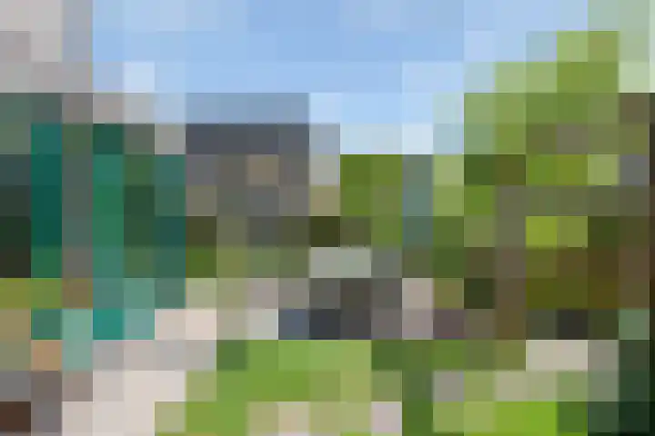 Zandpolderpad 12 Gouda thumbnail 24