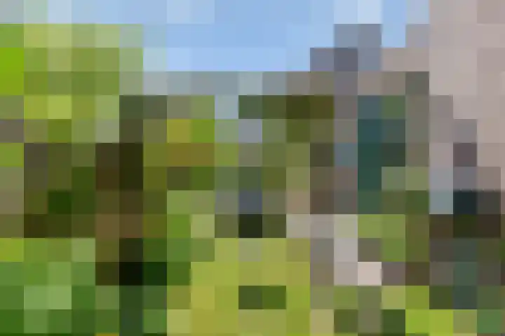 Zandpolderpad 12 Gouda thumbnail 27