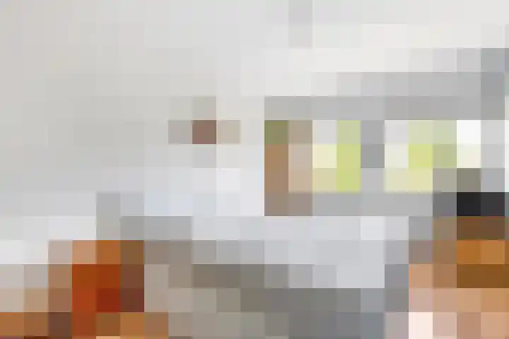 Zandpolderpad 12 Gouda thumbnail 34
