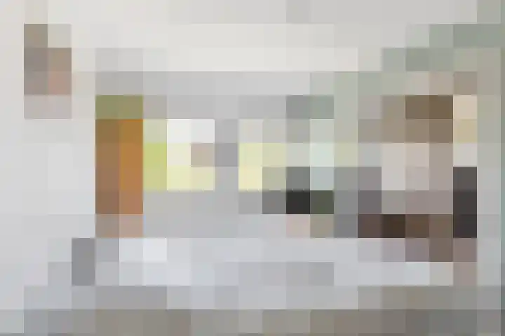 Zandpolderpad 12 Gouda thumbnail 36