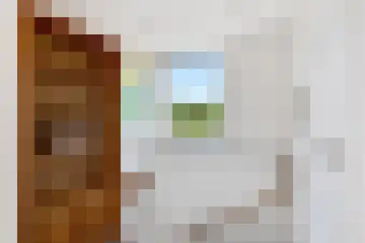 Zandpolderpad 12 Gouda thumbnail 43