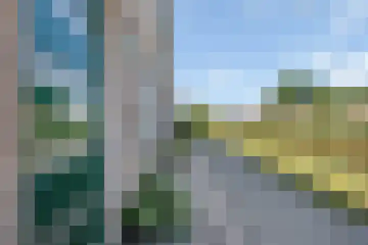 Zandpolderpad 12 Gouda thumbnail 49