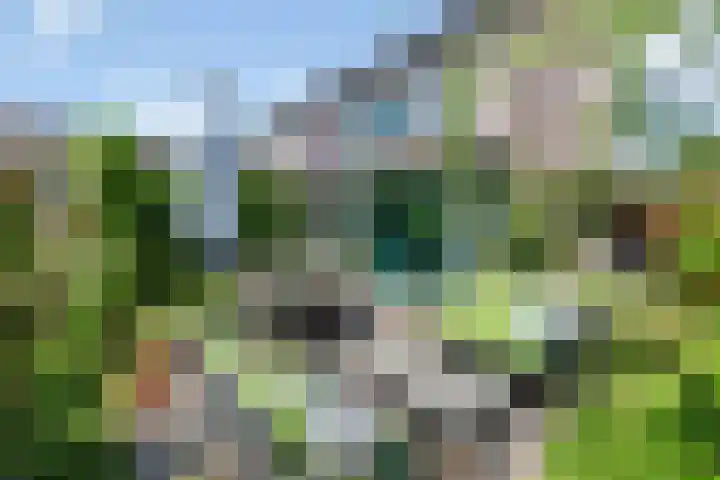 Zandpolderpad 12 Gouda thumbnail 5