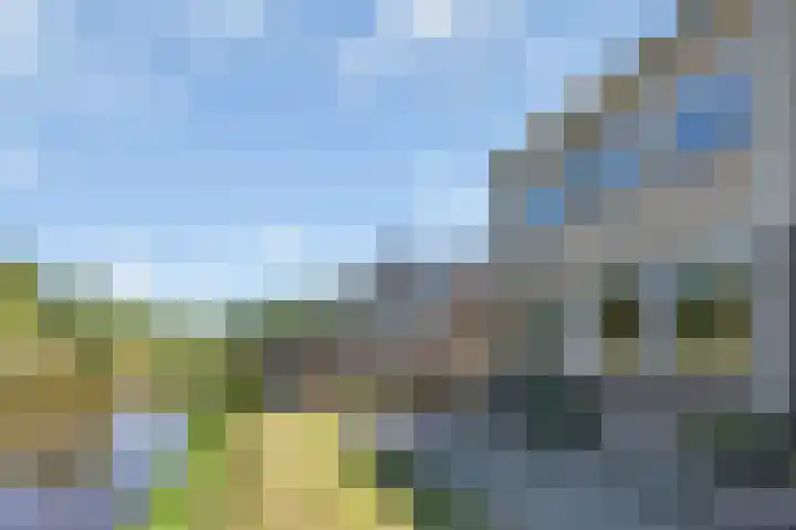 Zandpolderpad 12 Gouda thumbnail 51