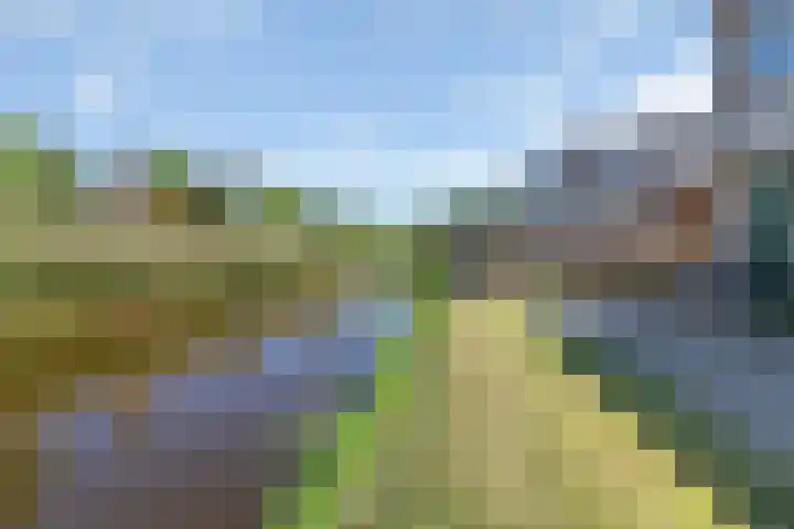 Zandpolderpad 12 Gouda thumbnail 52