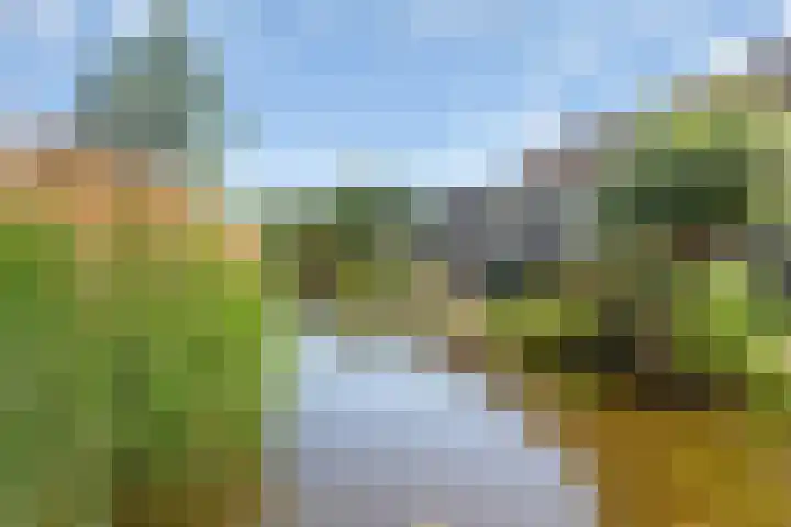 Zandpolderpad 12 Gouda thumbnail 53