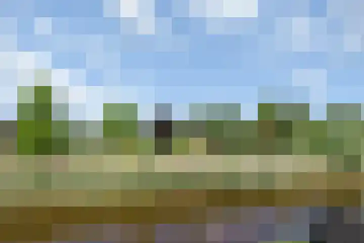 Zandpolderpad 12 Gouda thumbnail 54