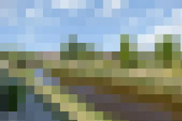 Zandpolderpad 12 Gouda thumbnail 55