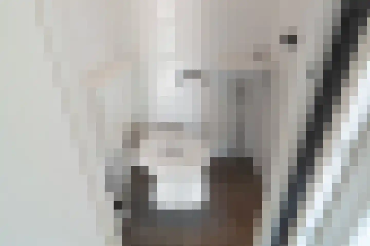 Zandpolderpad 4 Gouda thumbnail 9