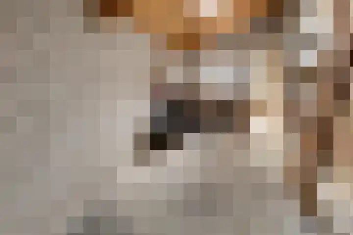 Zandput 17 Serooskerke thumbnail 23