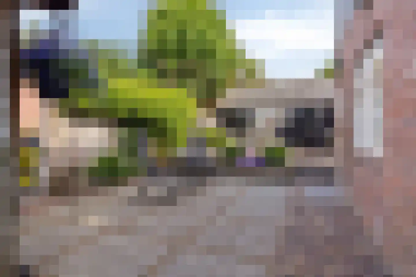 Zandput 27 Serooskerke thumbnail 15