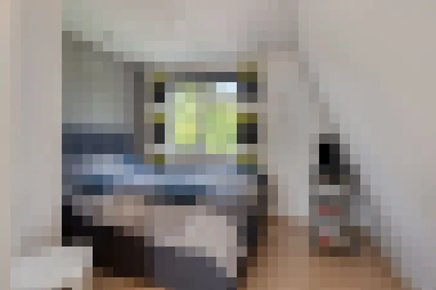 Zandput 27 Serooskerke thumbnail 26