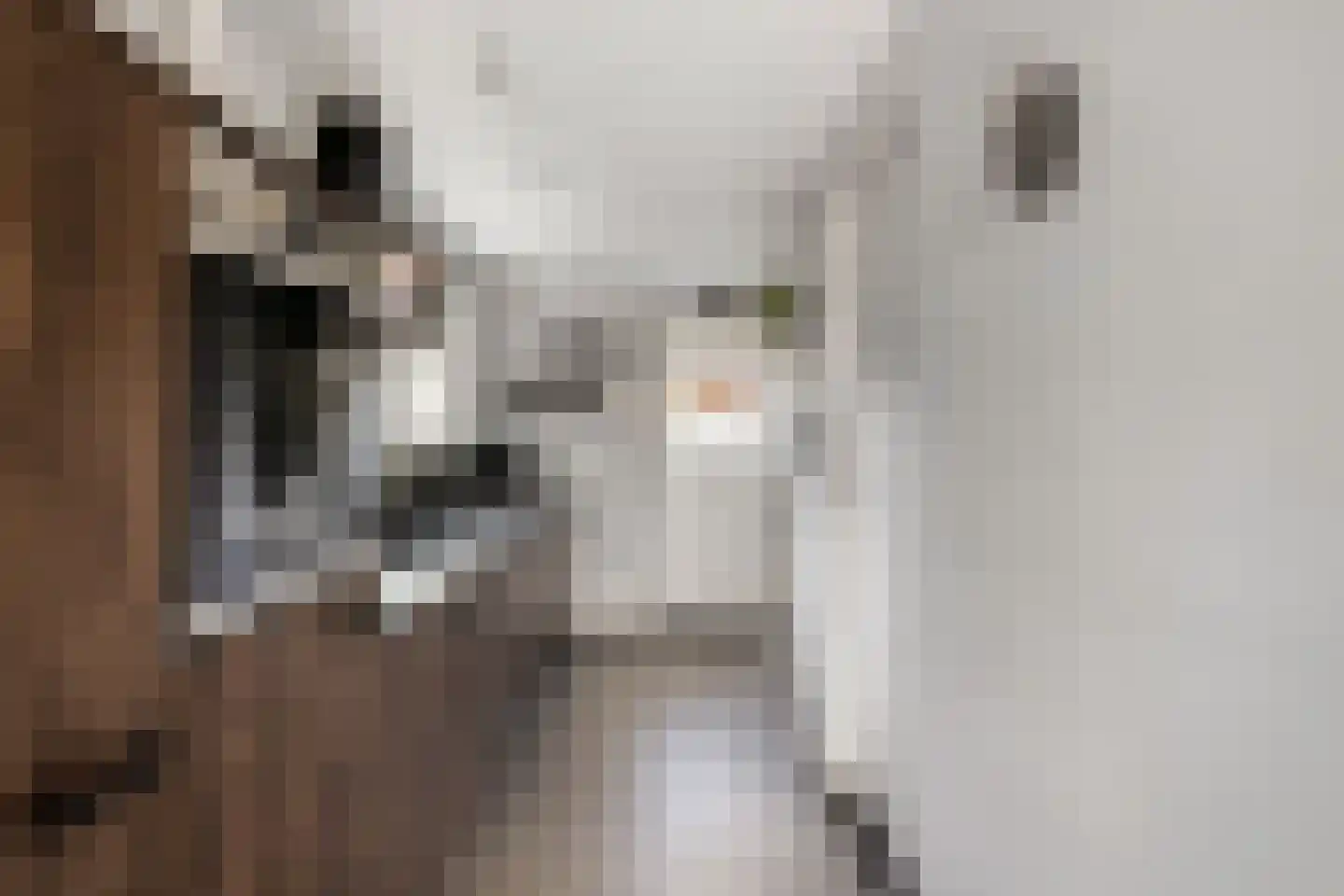 Zandput 27 Serooskerke thumbnail 8