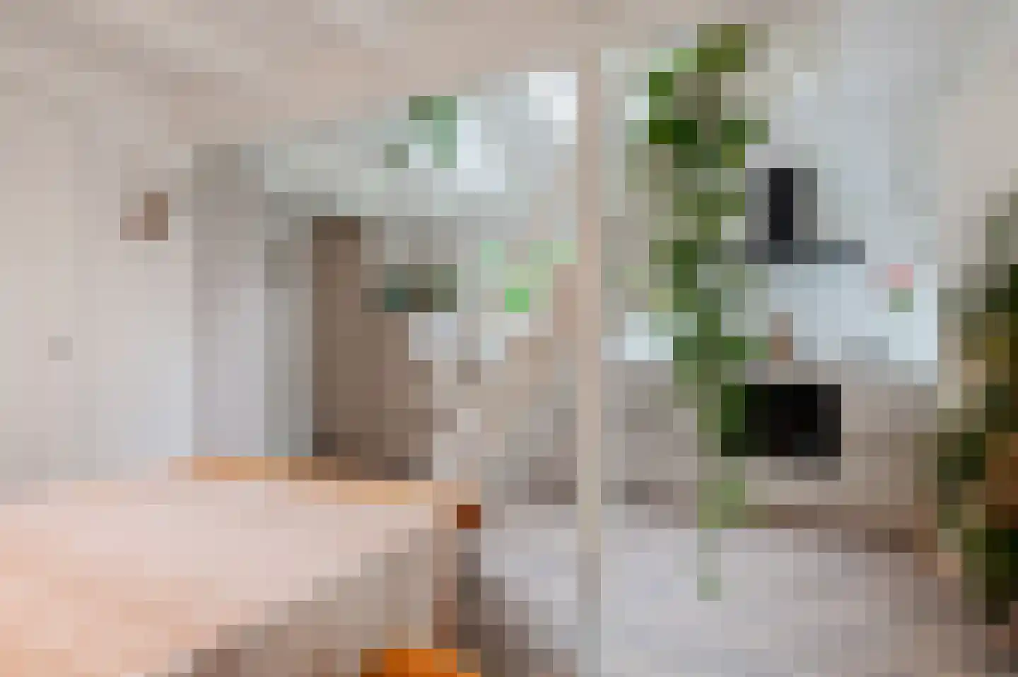Zandrivier 8 Zeegse thumbnail 10