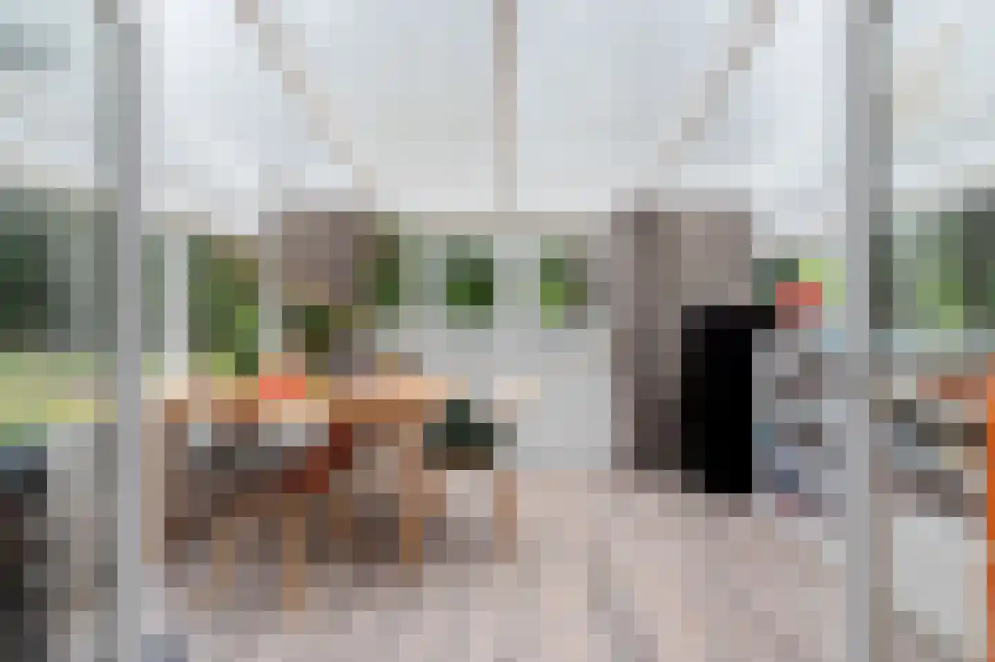 Zandrivier 8 Zeegse thumbnail 15
