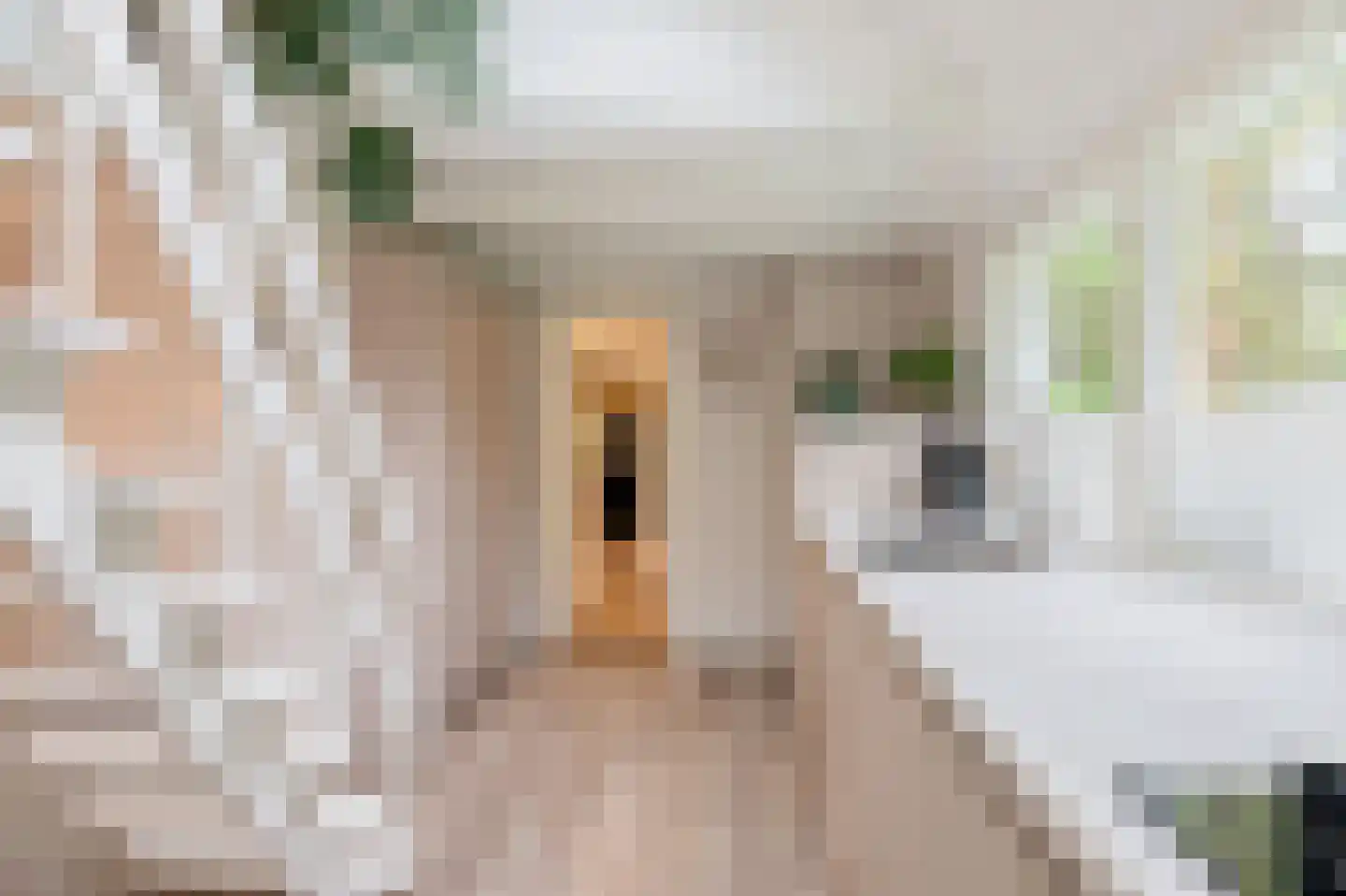 Zandrivier 8 Zeegse thumbnail 20