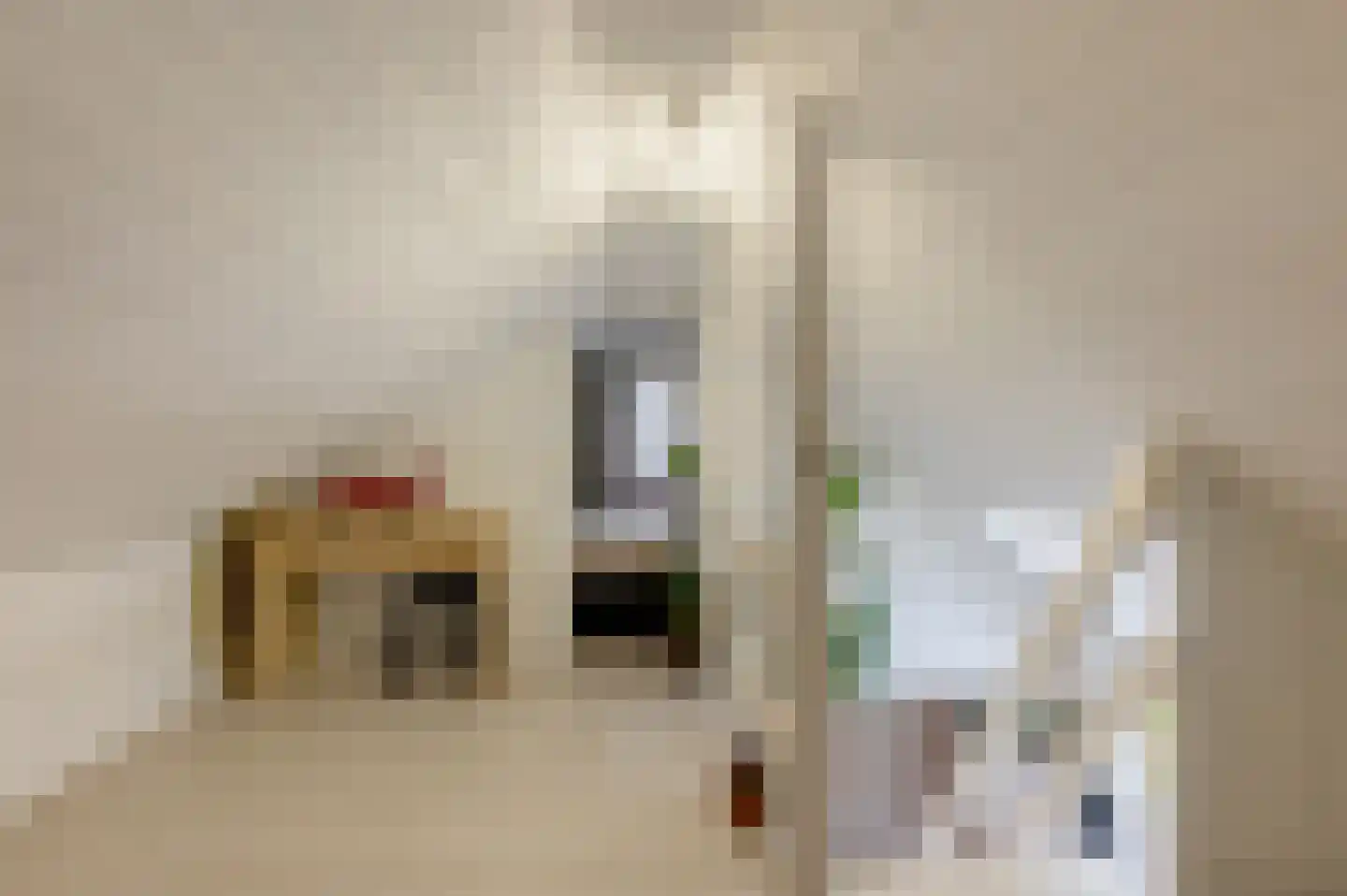 Zandrivier 8 Zeegse thumbnail 26