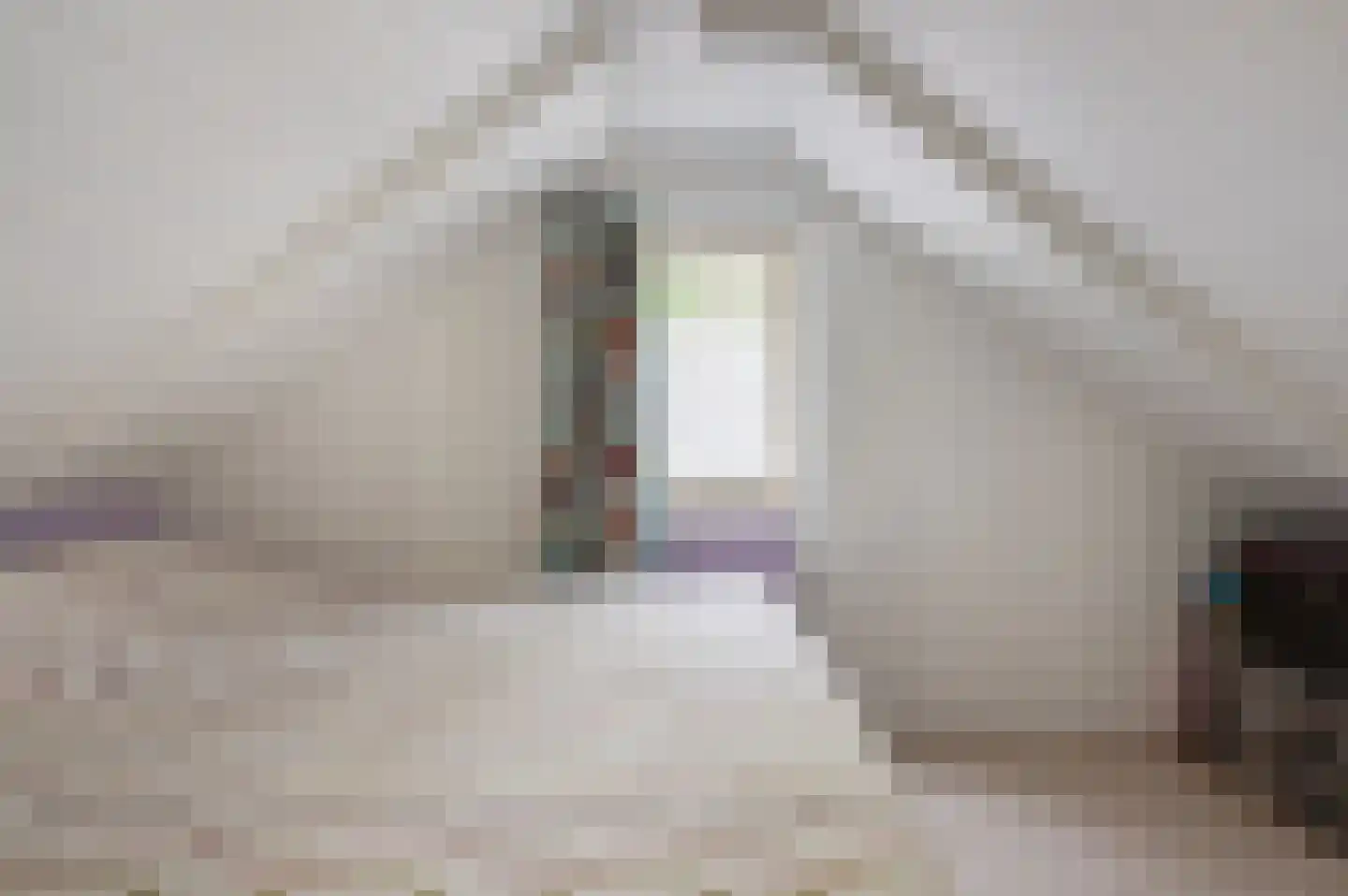 Zandrivier 8 Zeegse thumbnail 27