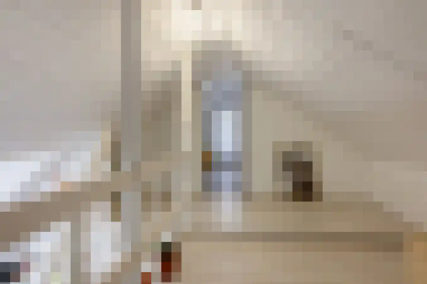 Zandrivier 8 Zeegse thumbnail 28