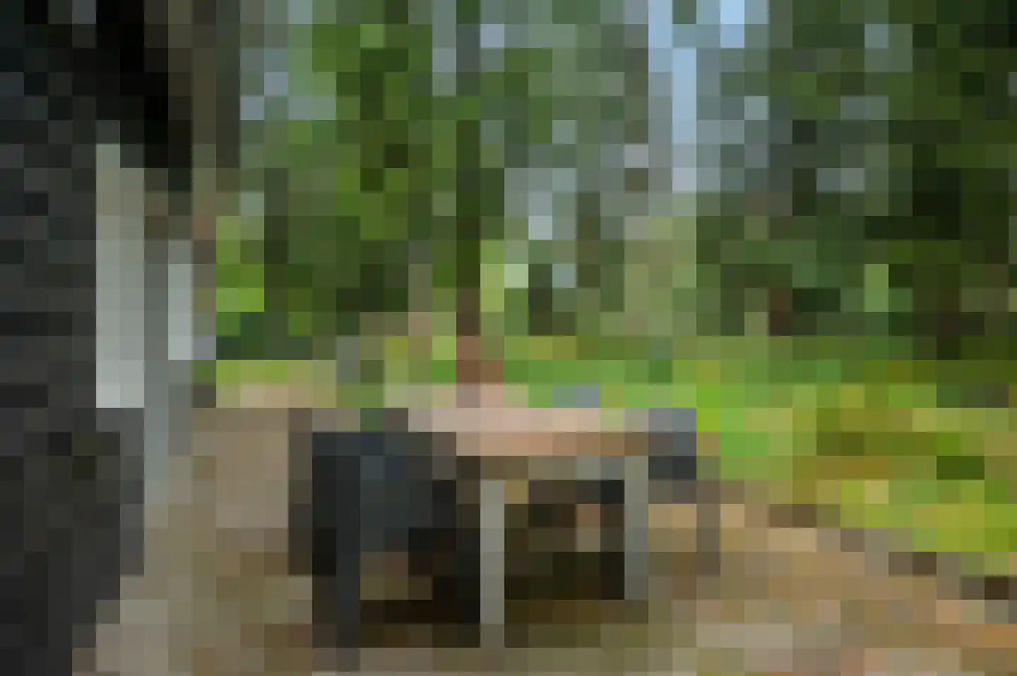 Zandrivier 8 Zeegse thumbnail 31
