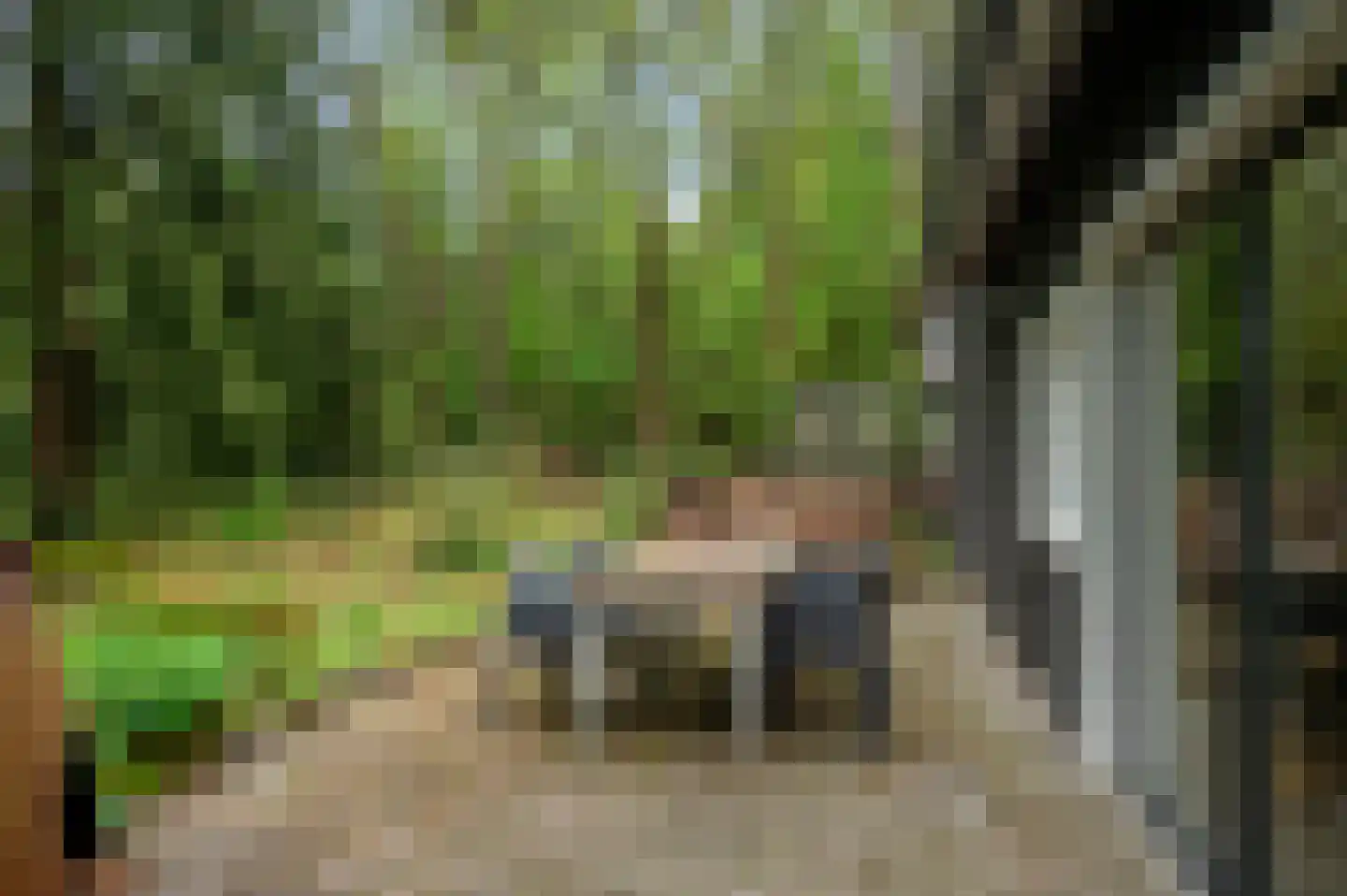 Zandrivier 8 Zeegse thumbnail 32