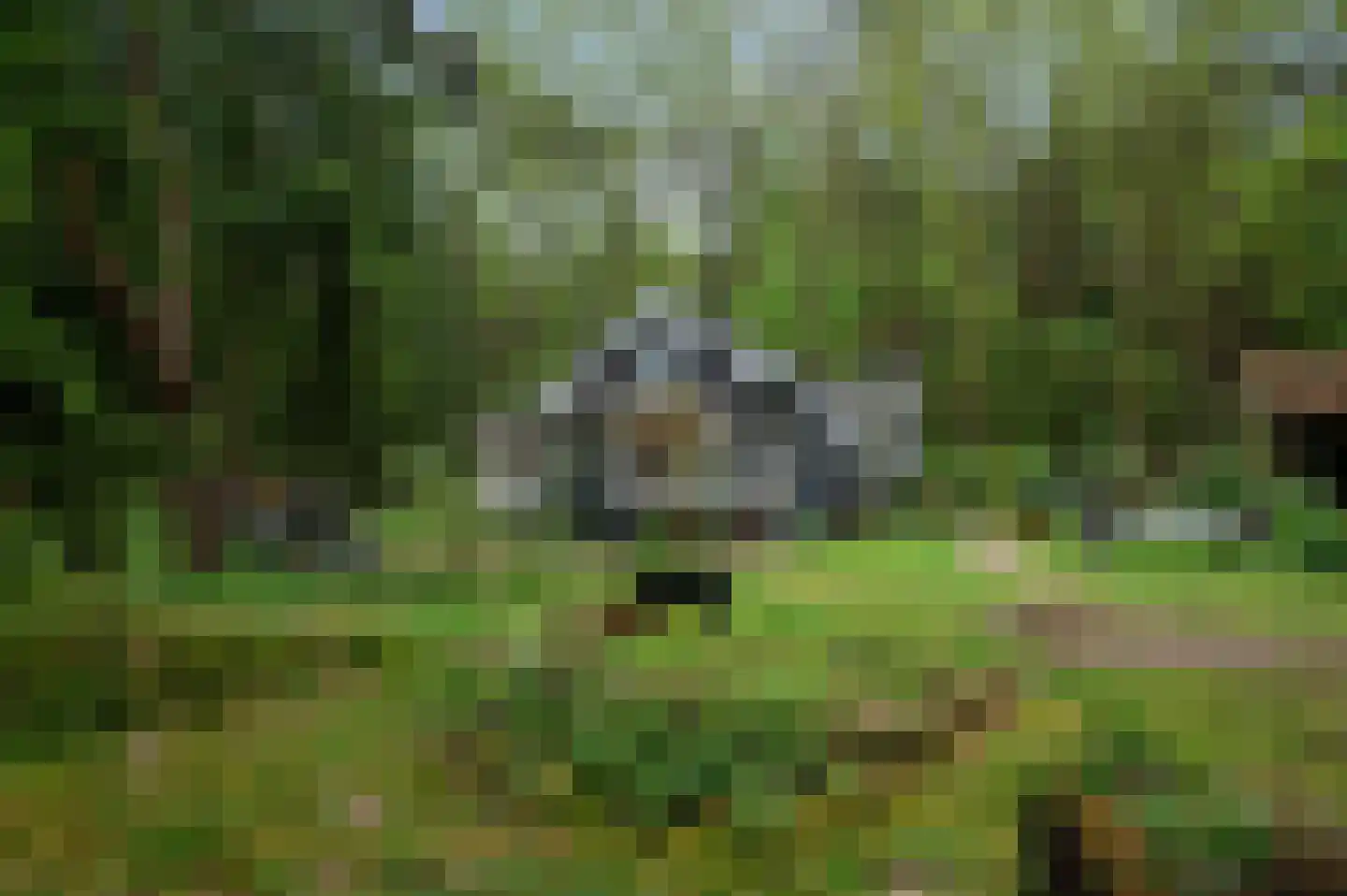 Zandrivier 8 Zeegse thumbnail 35