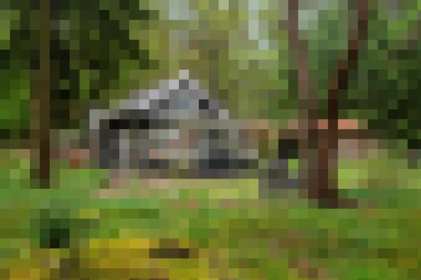 Zandrivier 8 Zeegse thumbnail 36