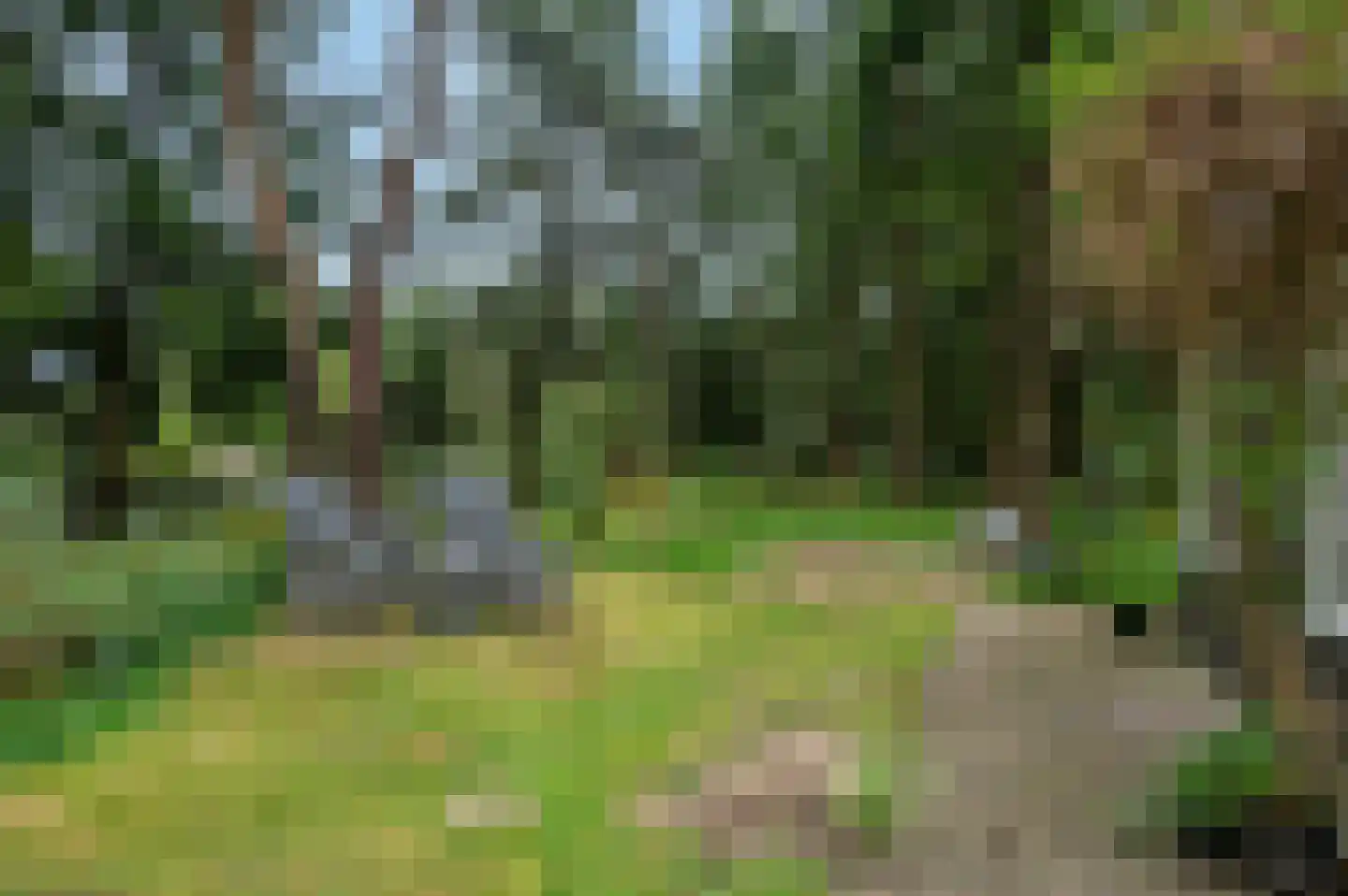 Zandrivier 8 Zeegse thumbnail 37