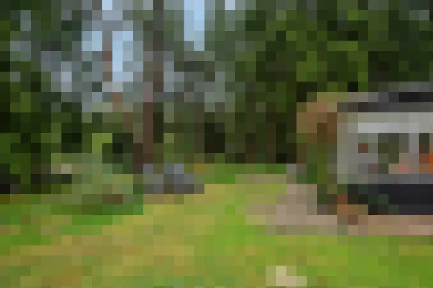 Zandrivier 8 Zeegse thumbnail 38