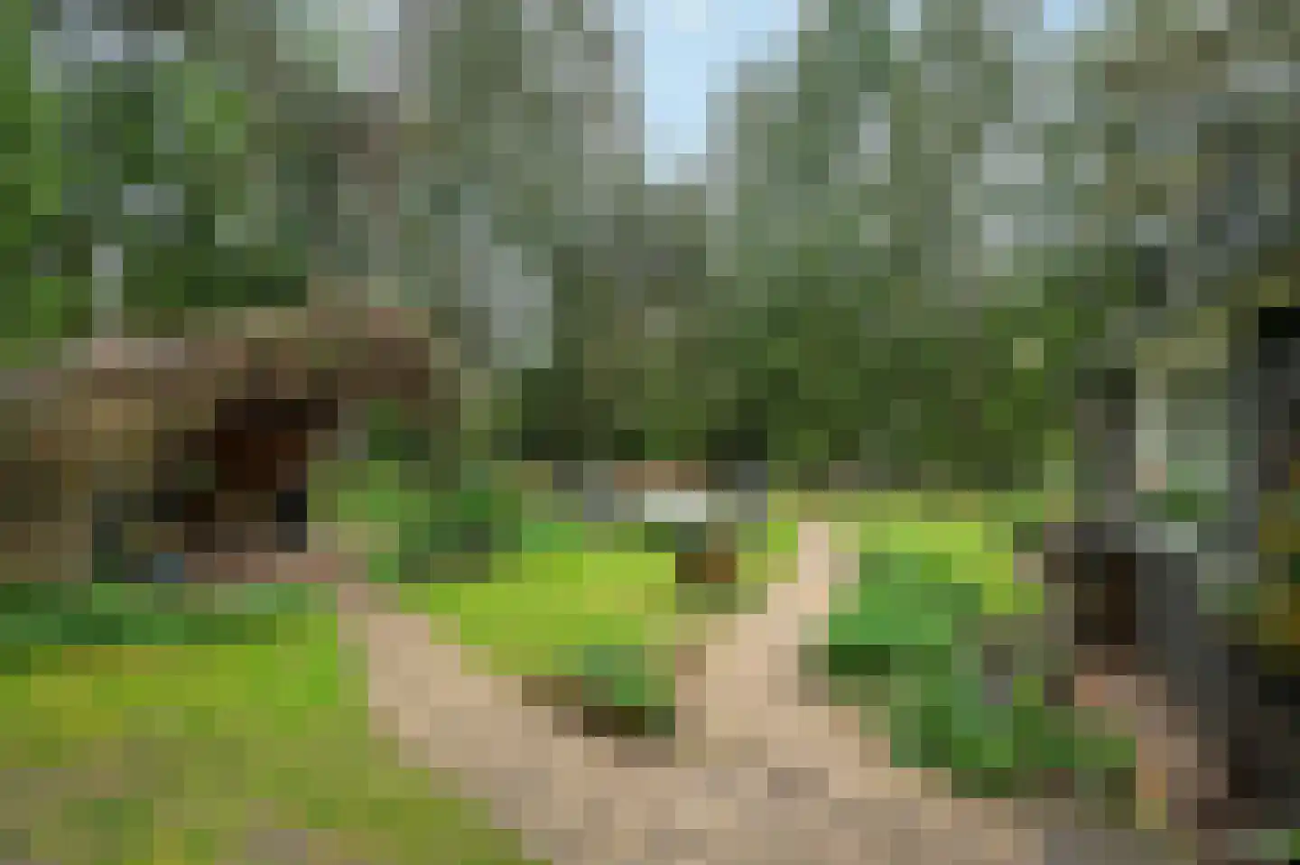 Zandrivier 8 Zeegse thumbnail 40