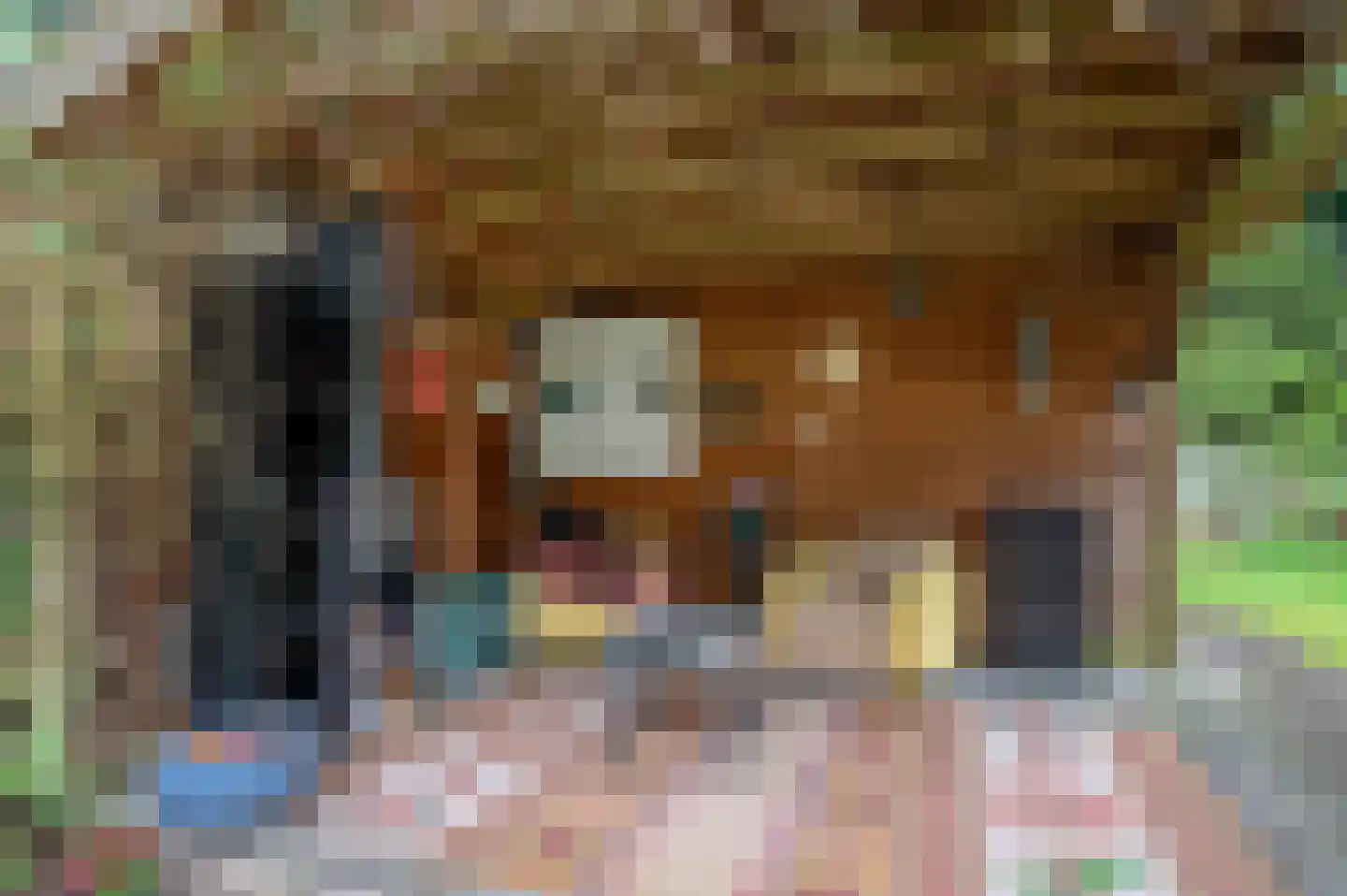 Zandrivier 8 Zeegse thumbnail 41