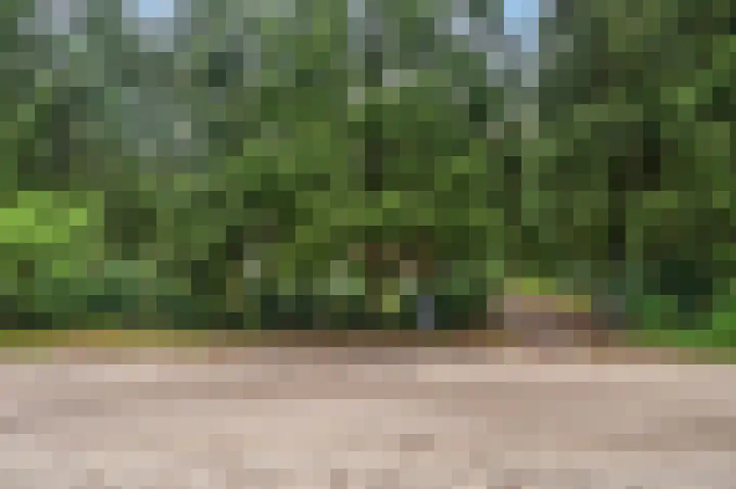 Zandrivier 8 Zeegse thumbnail 42