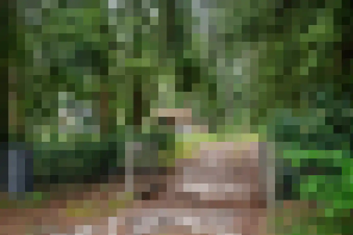 Zandrivier 8 Zeegse thumbnail 43