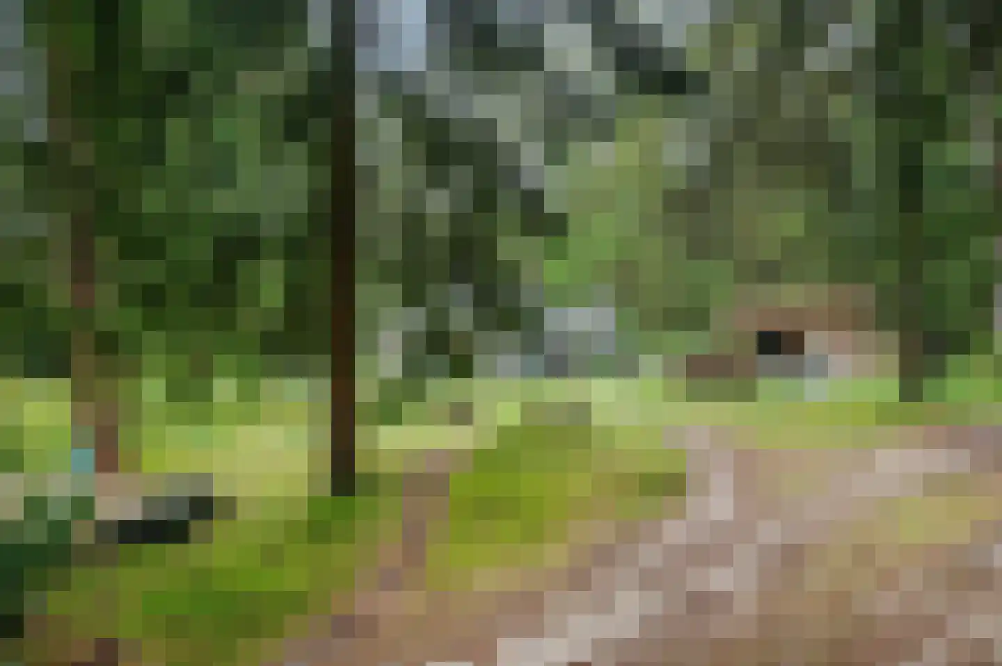 Zandrivier 8 Zeegse thumbnail 44