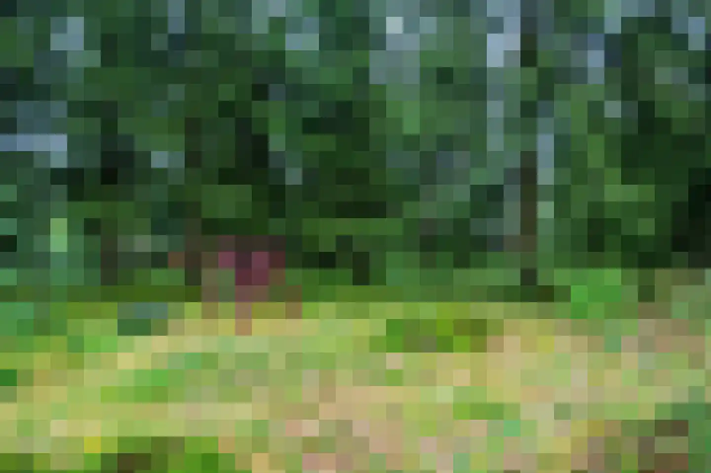 Zandrivier 8 Zeegse thumbnail 45