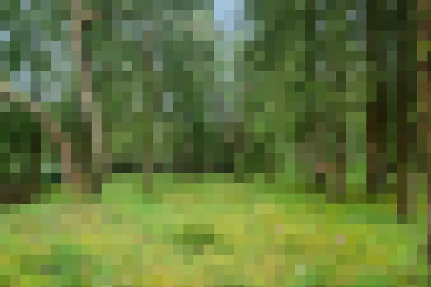 Zandrivier 8 Zeegse thumbnail 46