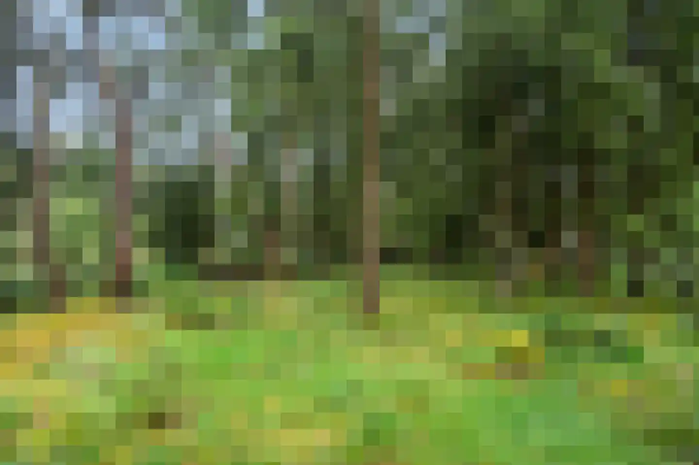 Zandrivier 8 Zeegse thumbnail 47