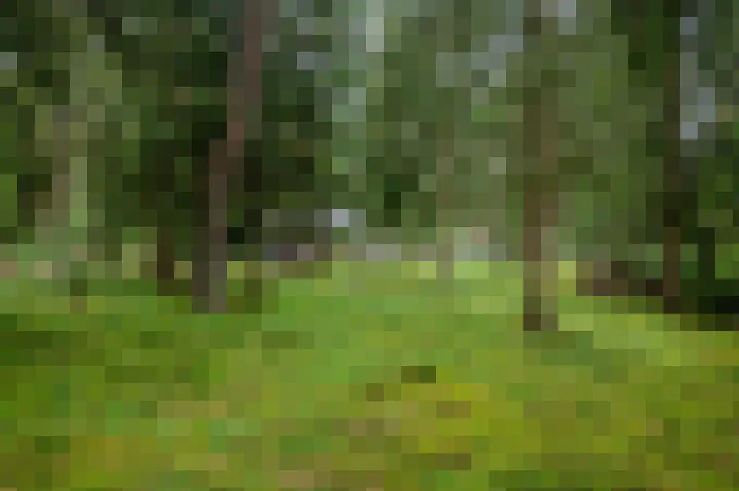 Zandrivier 8 Zeegse thumbnail 48